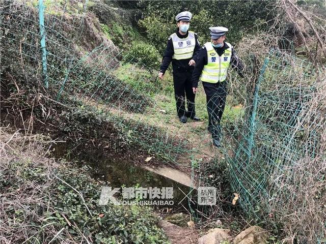 浙江五個(gè)婦女結(jié)伴橫穿高速挖野菜，年輕司機(jī)“生死避讓”撞上護(hù)欄……